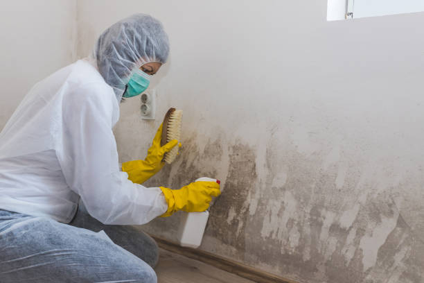 Water Damage Restoration in Deer Park, IL